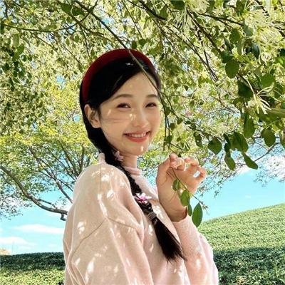 心链 海报