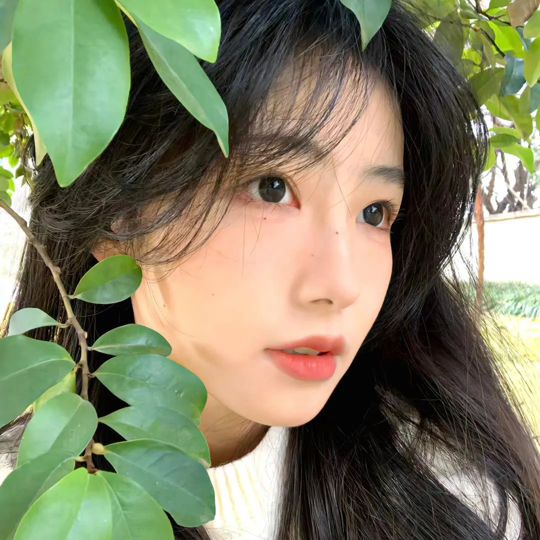 混世闲喵 海报